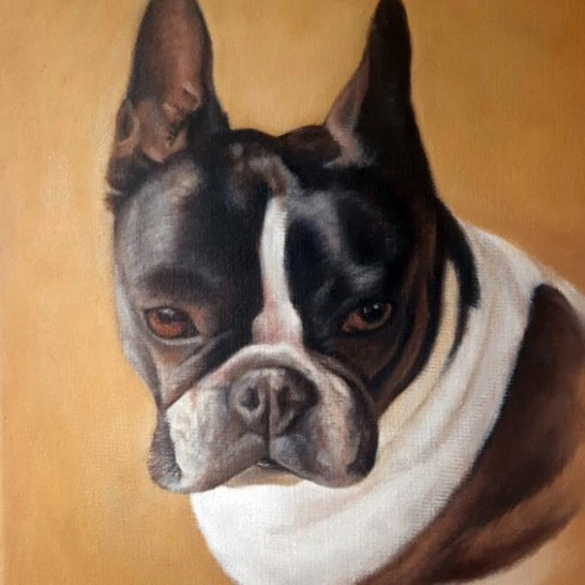 Retrato de Mascota, Cuadro al Óleo por Encargo - 2